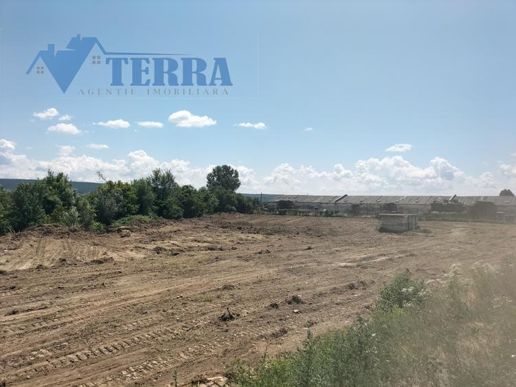 Teren intravilan 7.500 mp | DN73 | 4 km de Dacia Mioveni