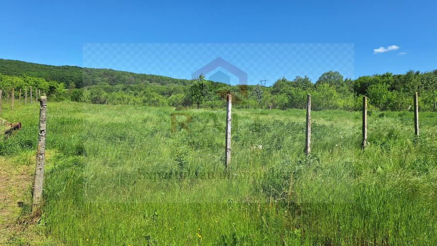 Casă individuală 4 camere de vânzare Băiculești Argeș Zona Rurală