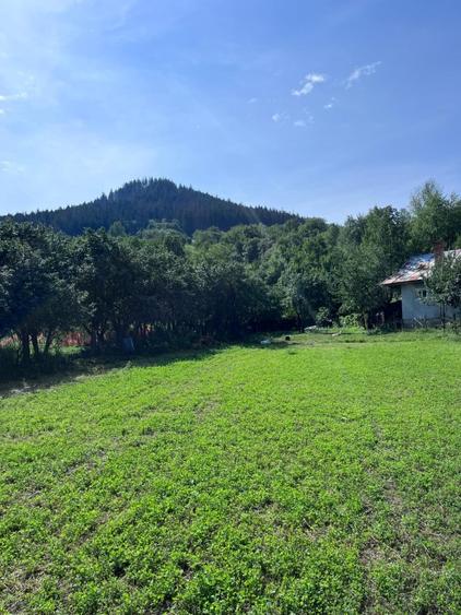 Vânzare teren intravilan lângă Piatra Neamt