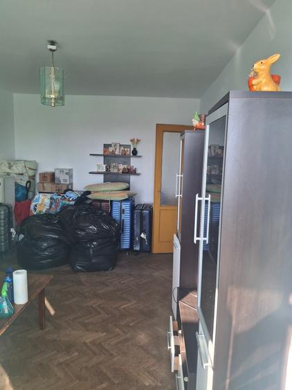 2Camere Crangasi George Valsan