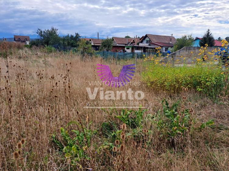 CASA 4 CAMERE 136 MPU SI TEREN 825MP IN DAIA - 15