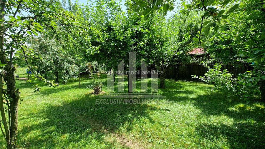 Teren intravilan | 1400 mp | 16 ml deschidere | Alba-Micesti - 6