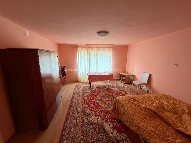 Casa de vanzare 255mp utili, 1974mp teren - Balomir - 4