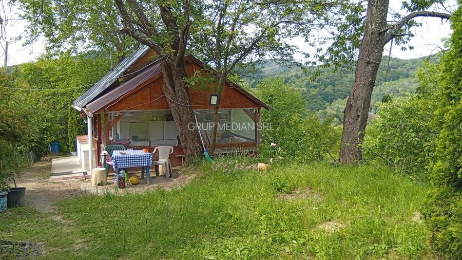 Proprietate de vanzare in Golești - 10800 mp teren și două case - 4