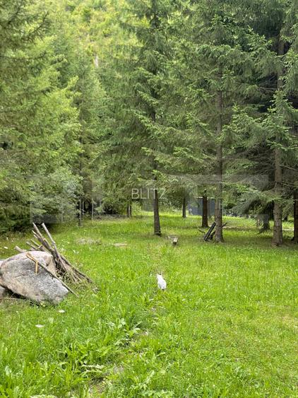 Cabană la munte cu saună finlandeză și teren generos - 8