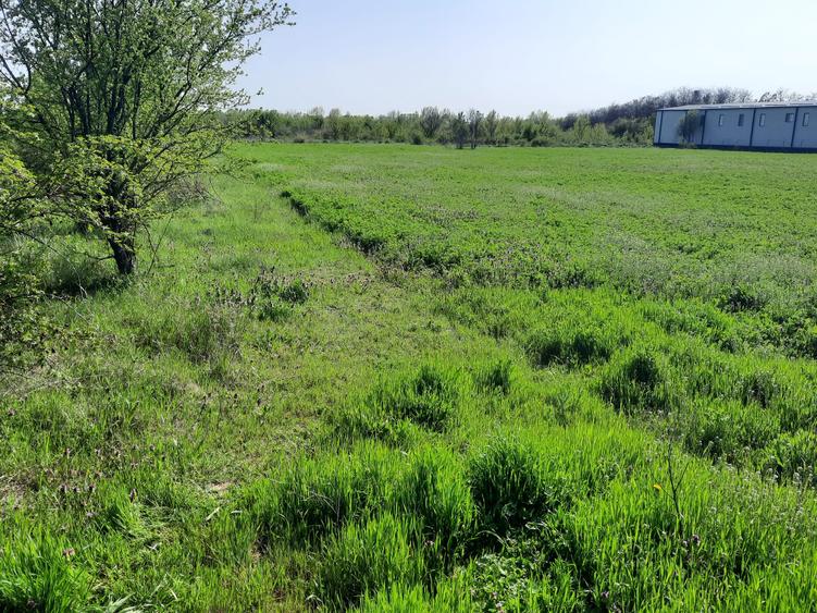 FARA COMISIOANE in Joita aproape de drumul asfaltat teren de 4600mp merita vazut