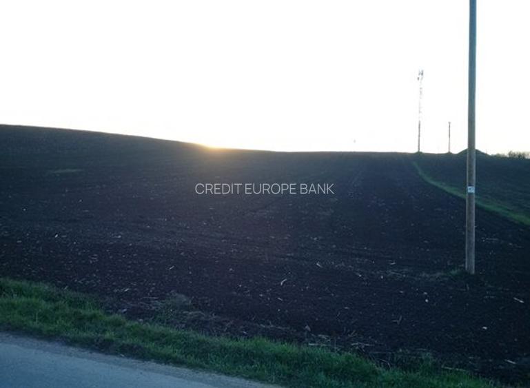 Teren Construcții intravilan de 27700 mp, în Iernut - 6