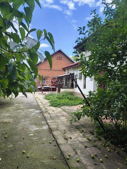 Dobroiesti casa si teren cu deschidere la lac