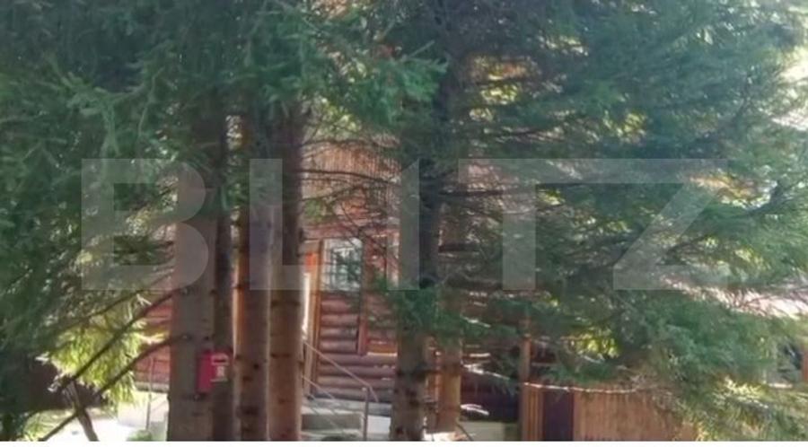 Cabana cu parau si brazi maturi, 1400mp, Valea Fericirii