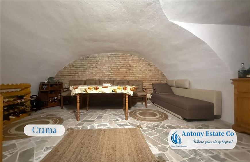 Proprietate cu crama, Ultracentral, casa de vanzare, Oradea, Bihor