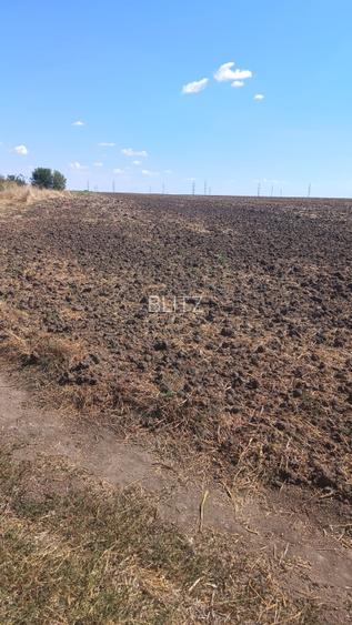 Teren intravilan, 10000 mp, zona Mlecanesti - 2