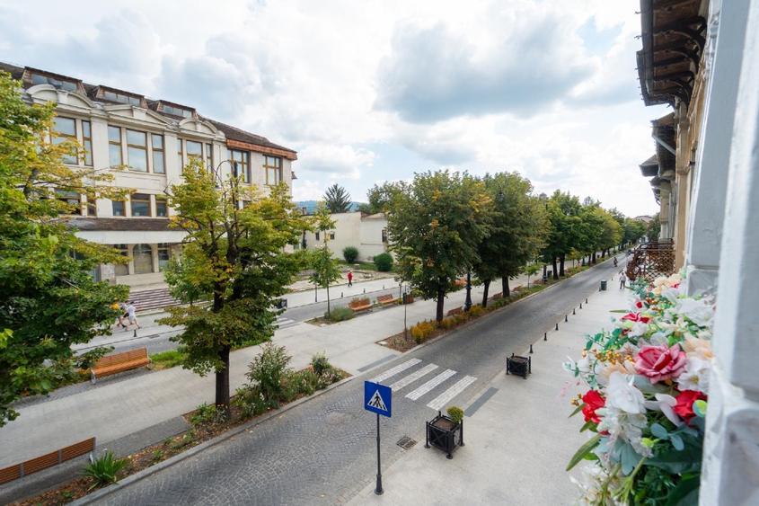 Proprietar vand vila ultracentrala in stil neoromanesc