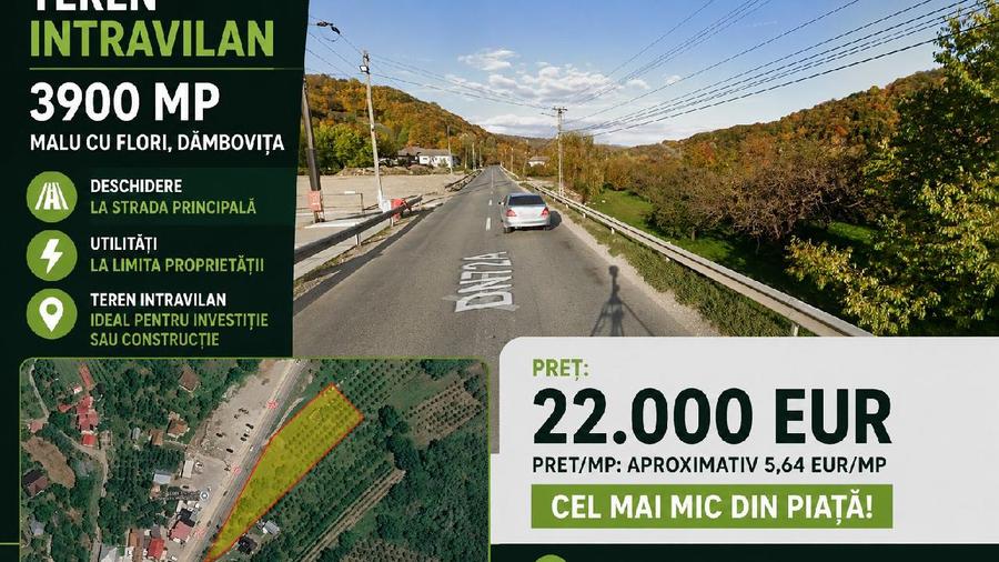 TEREN INTRAVILAN 3.900 MP ~ CAPU COASTEI - MALU CU FLORI, DAMBOVITA