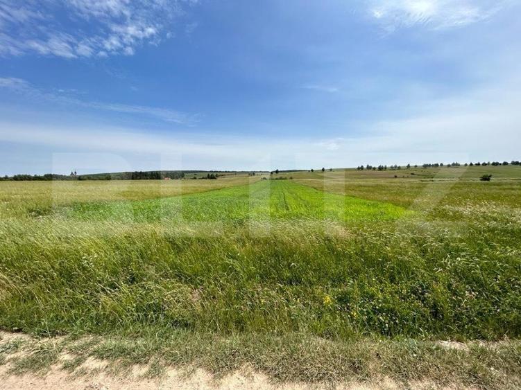 Teren cu suprafata de 8000mp ,situat in Mitocu Dragomirnei,zona Manastirii