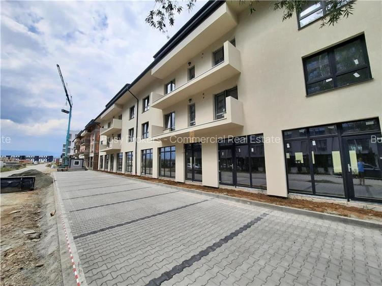 Spatiu Comercial, 76 mp, Sibiu - 7