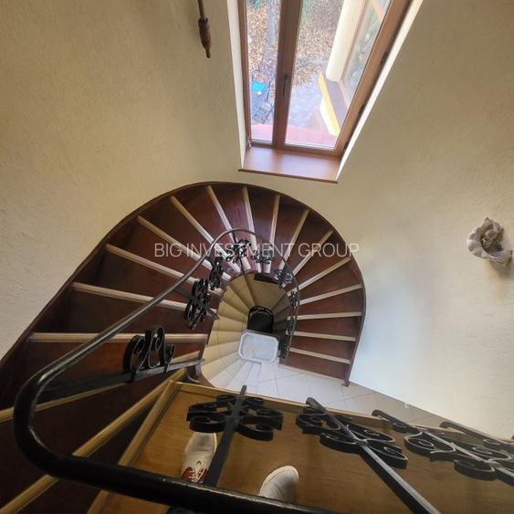 Vila boiereasca, superba, strada, linistita, nelipita de vreun alt imobil - 20