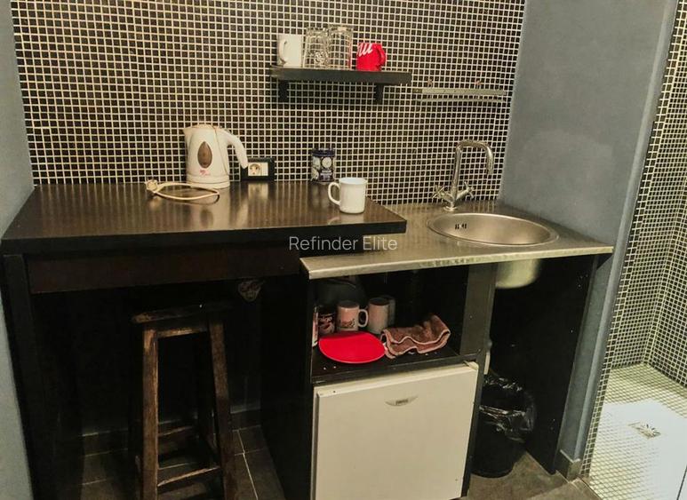 Apartament 2 camere ultracentral | Cismigiu - Gheorghe Lazar | - 12