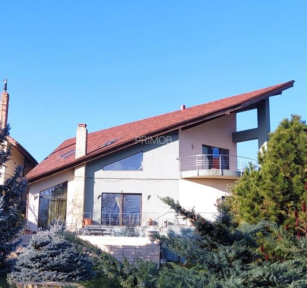 Mogosoaia vila robusta cu view unic catre palat si parc,ponton pe lac,dendrariu - 2