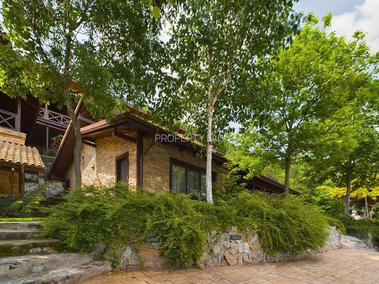 Pensiune de Lux pe Malul Dunării în Dubova - 24