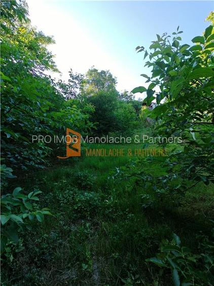 EXCLUSIVITATE! Casa+teren si cabana de lemn zona Naeni - 28