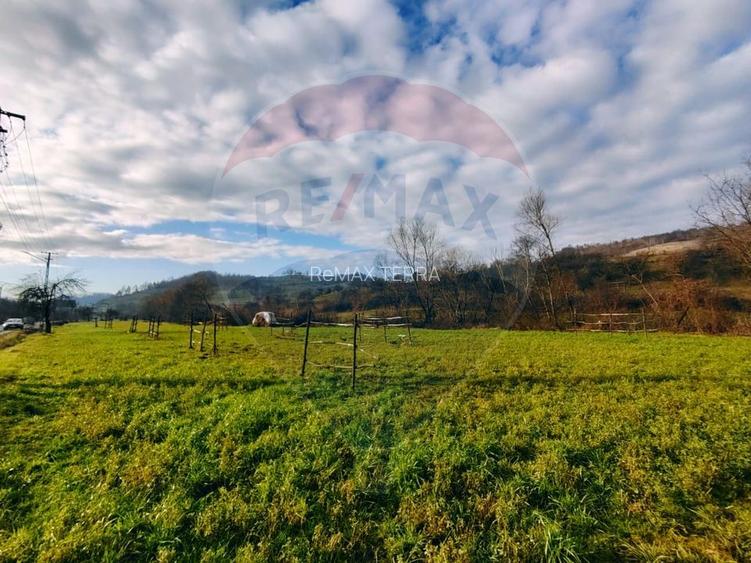 COMISION 0%  Teren intravilan de vanzare in Barsana (26 ARI) - 2