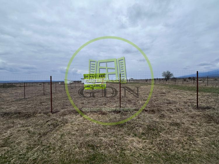 Exclusivitate! Teren intravilan, ttrifazic 44kw, urbanism, toate avizele luate! - 9