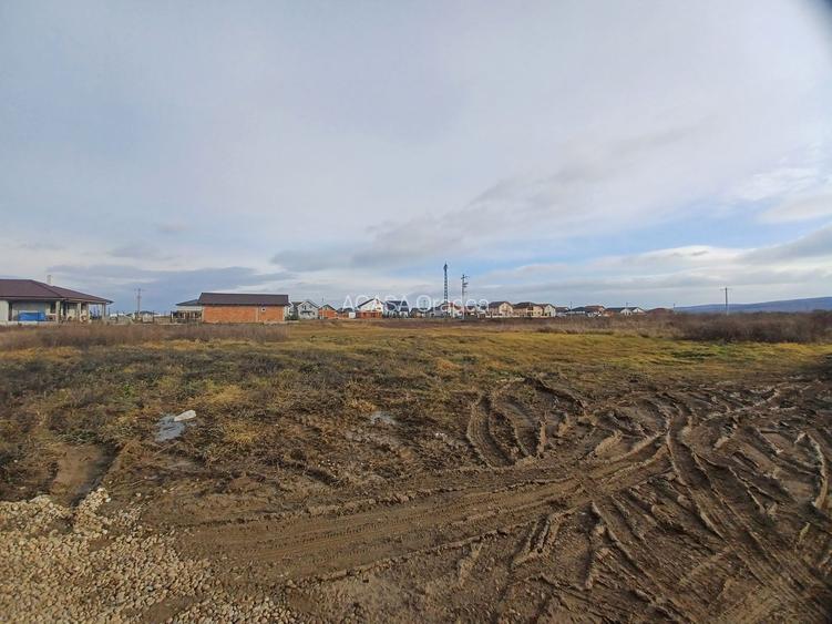 Parcela casă, 812 mp, Rontău. 42 000 E. Comision 0. - 5