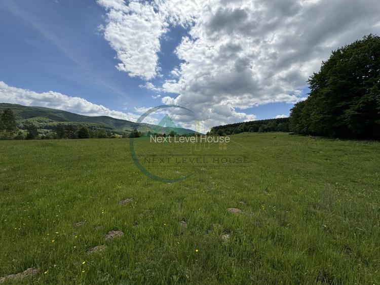 Teren exceptional Valea Dobarlaului - oportunitate investitie - 3