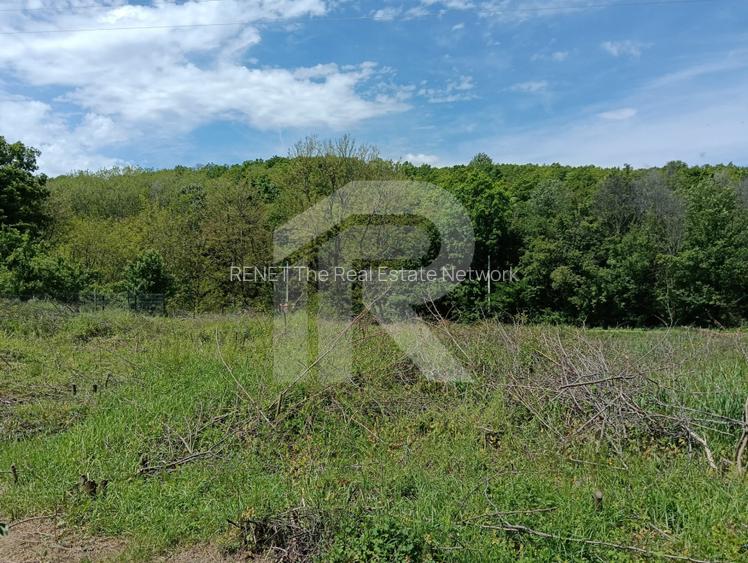 intravilan Tiparesti, relaxare aproape de padure - 2