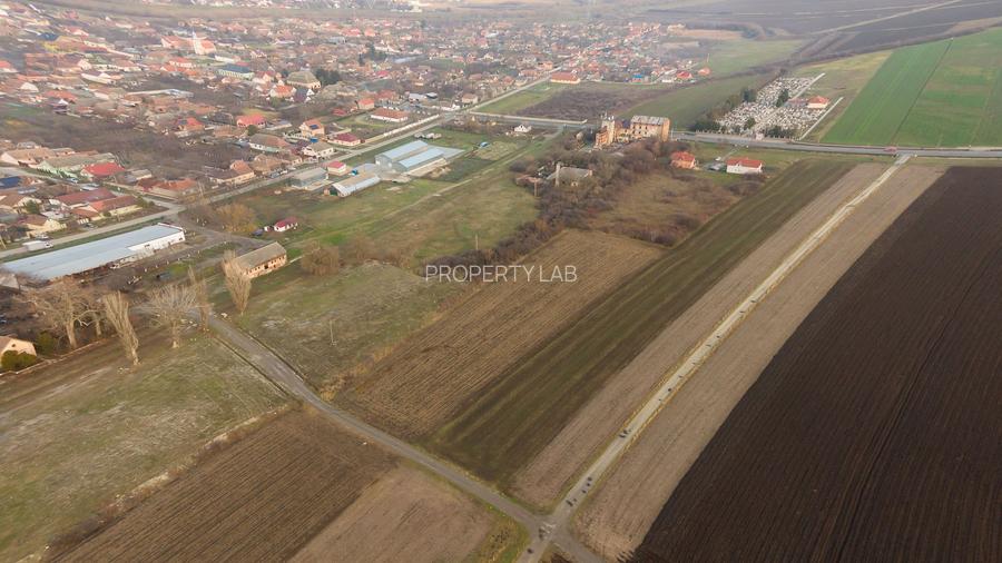 33 parcele intravilane 2 ha în Chișineu-Criș - 10