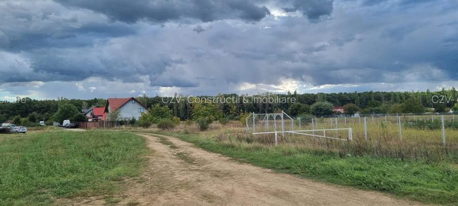 Stradal- Utilitati- Liziera Ciorogarla - Strada Sacamilor - 9