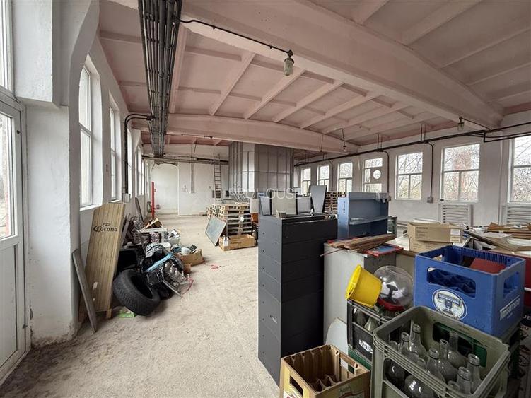 Hale industriale de inchiriat cu platforma betonata de 10.424mp - Șerbanest - 7