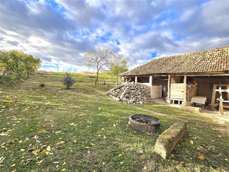 CASA 3 CAMERE + LIVING | 1790 MP TEREN | SAT RAPA | BIHOR - 27