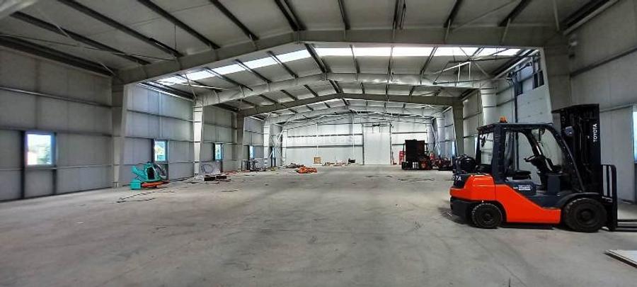 Magurele,hala 1000 mp,constructie noua ,ideal depozitare,productie - 8