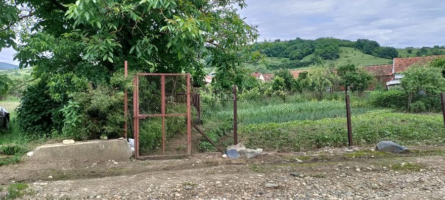 Casa de vânzare zona Cheile Nerei - jud. Caraș-Severin - 4