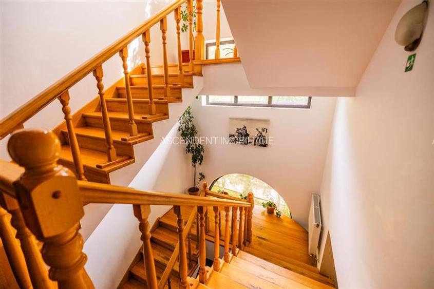 FILM! Pensiune turistica+Casa+transfer afacere+teren,Cheile Rasnoavei,Brasov - 19