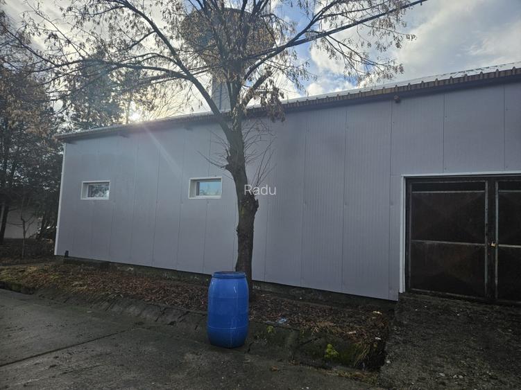 Hale industriale si magazii metalice de inchiriat  - 4