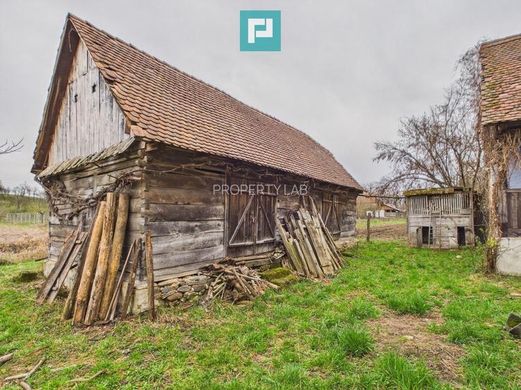 Casă la roșu în localitatea Almaș, Arad. - 7