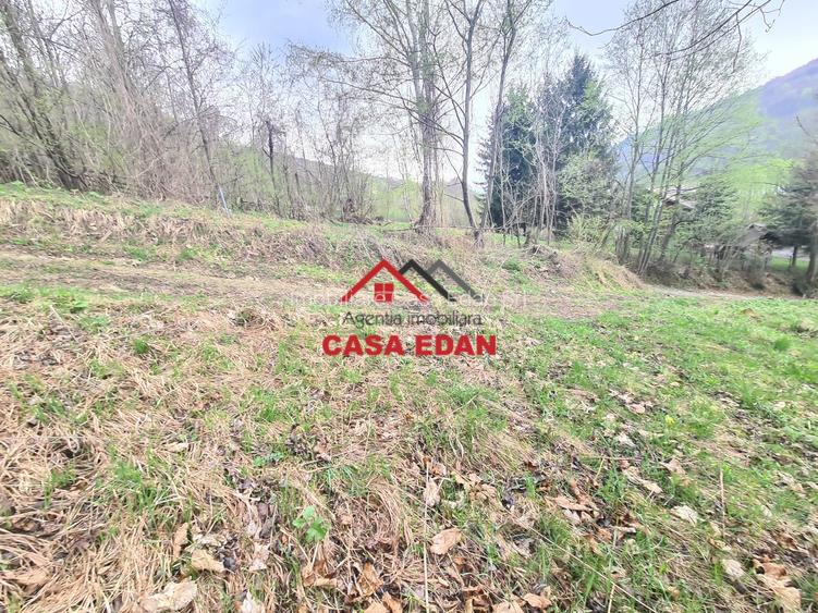 Teren intravilan in Valea Doftanei cu iesire la Parajul Paltinu--1000 mp--120e - 5