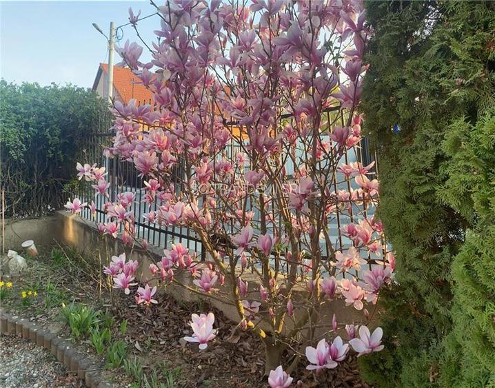 Casă Elegantă și Funcțională în Sibiu, Zona Lazaret - 8