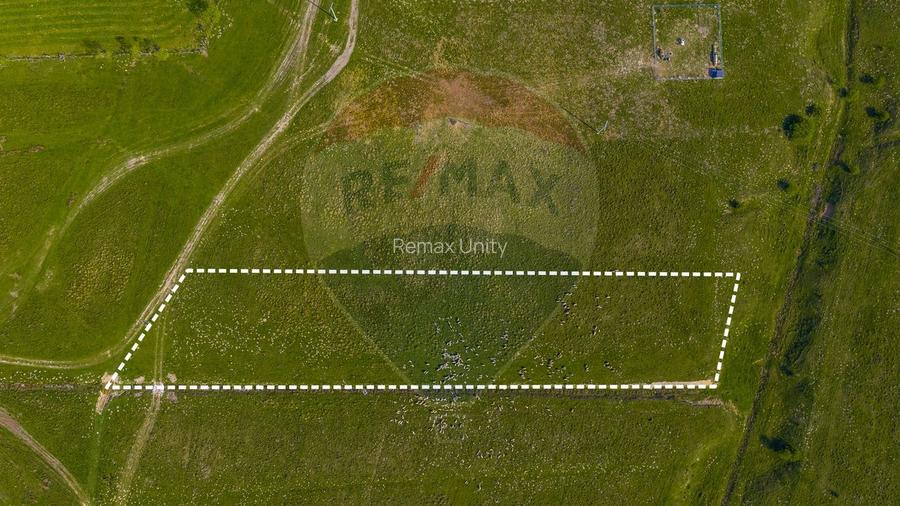 Teren 1ha, extravilan Rasnov / Agricultură sau fermă/ COMISION 0% - 5