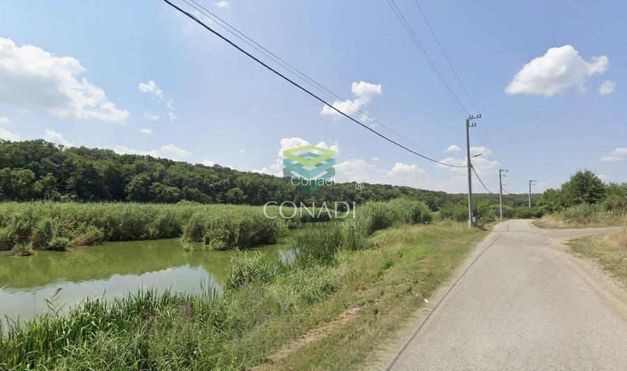 Teren 800mp Vadu Anei | Branesti | Langa Lac si Padure | Rezidential - 6
