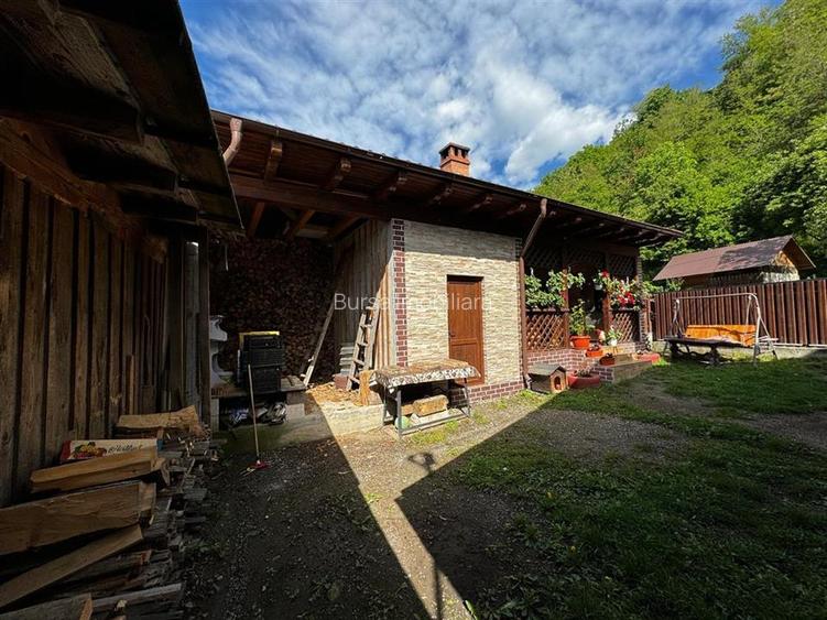 CASA DE VANZARE ZONA MONTANA - 14