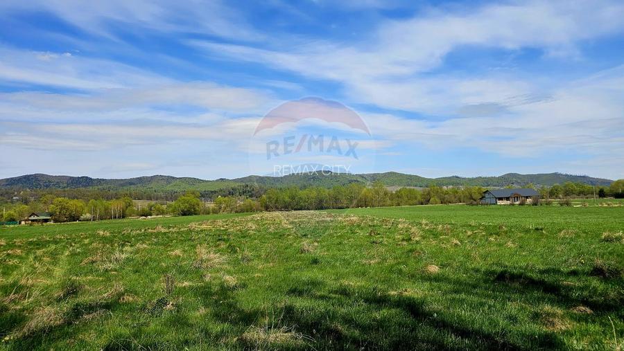 Teren 10,000mp Nemtisor / DJ 155C - 2