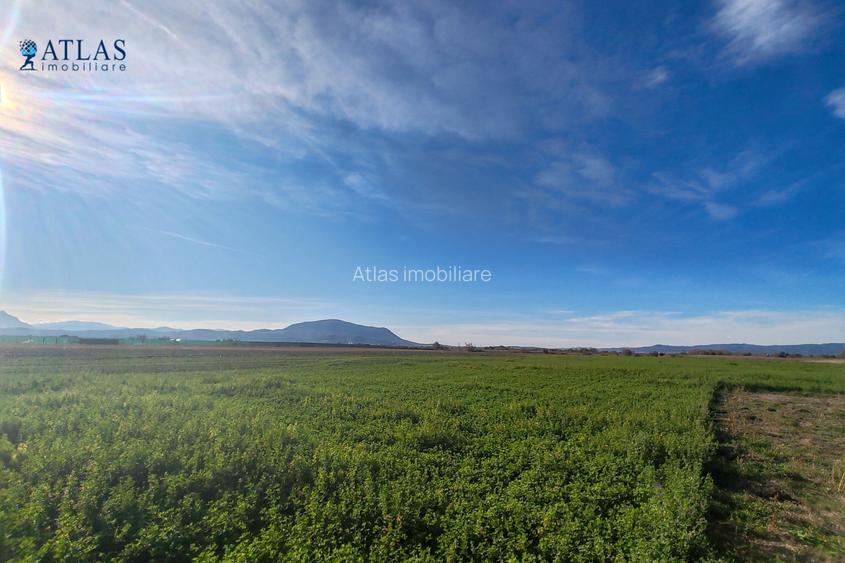 Teren ideal dezvoltare rezidențială, 8.121 mp, PUZ aprobat, utilități, Stupini - 5