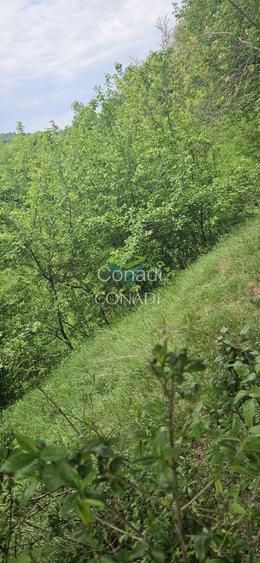 Teren Breaza  800mp pe colina priveliste superba - 14