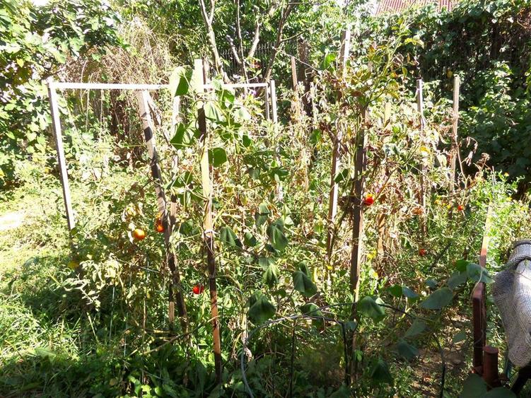 VILA  10 camere OPORTUNITATE CLINICA, GRADINITA - 13