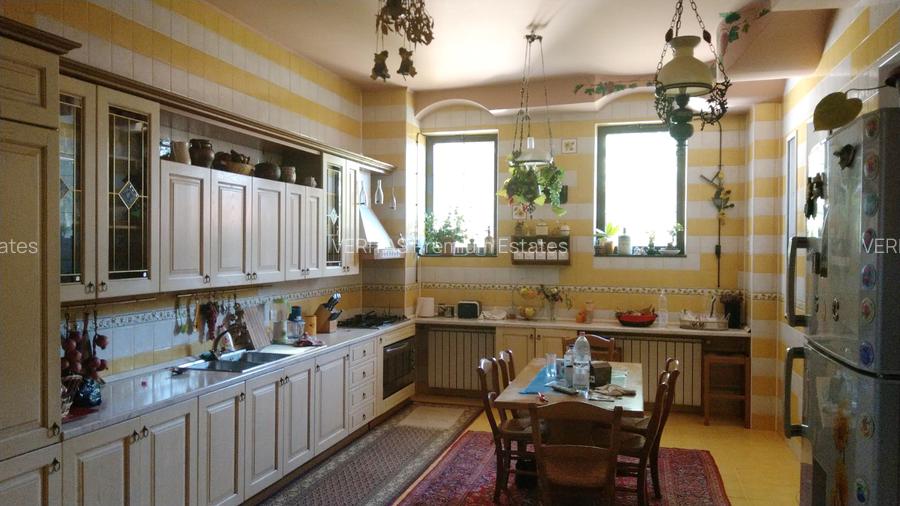 Casa impresionanta de vanzare Cotroceni, teren 680 mp, renovata, garaj dublu - 10