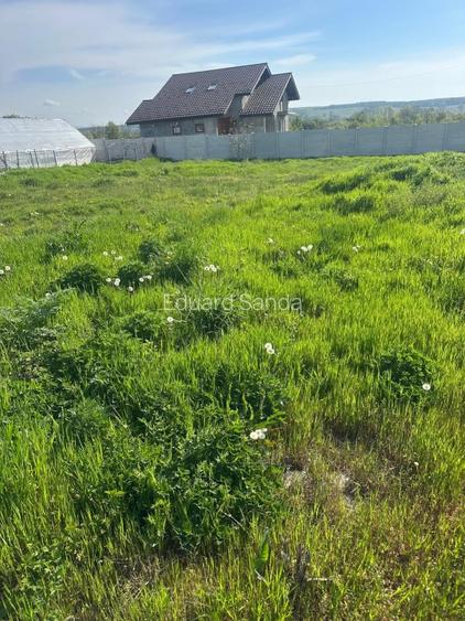 Teren de vanzare Târgu Jiu  - 6