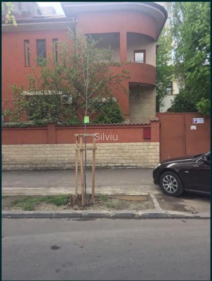 Vila / casa de vanzare - 2